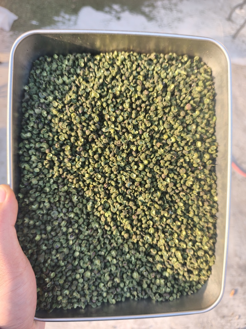 青麻椒/花椒/江津青麻椒/丫丫青麻/无刺青麻椒/大量批发