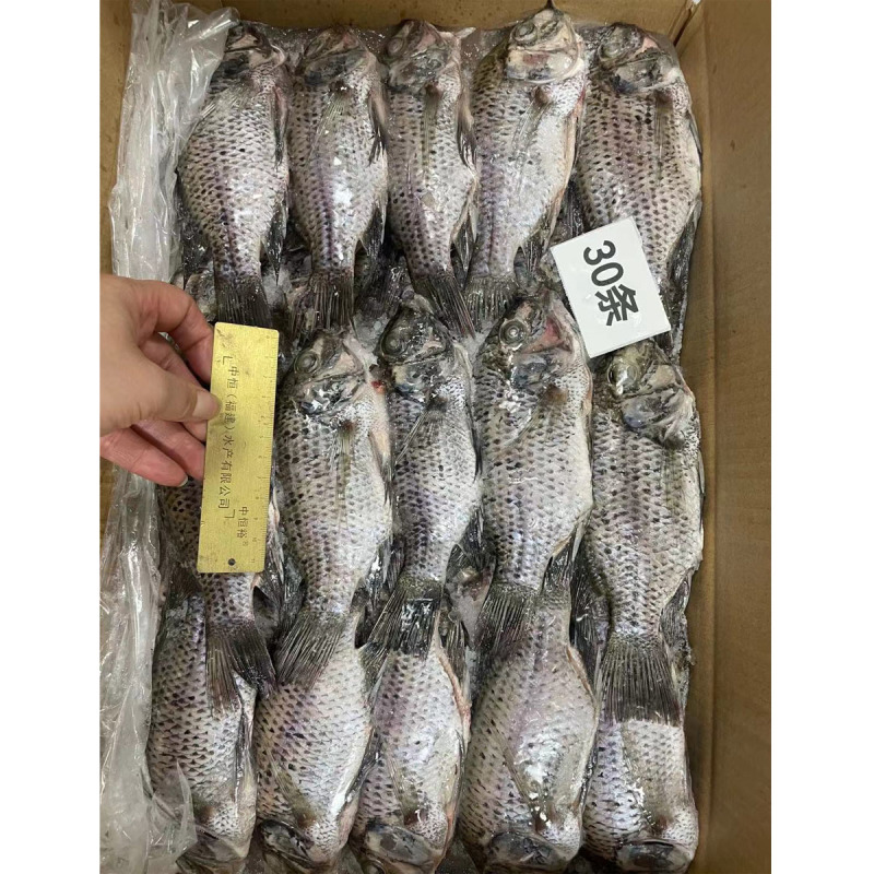 冷冻三去罗非鱼批发新鲜免处理30条8斤装餐饮水产冻品