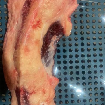 牛胸叉。美肥肥胸口烤肉。专用。囯产原切肉