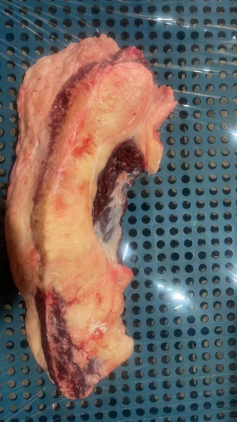 牛胸叉。美肥肥胸口烤肉。专用。囯产原切肉