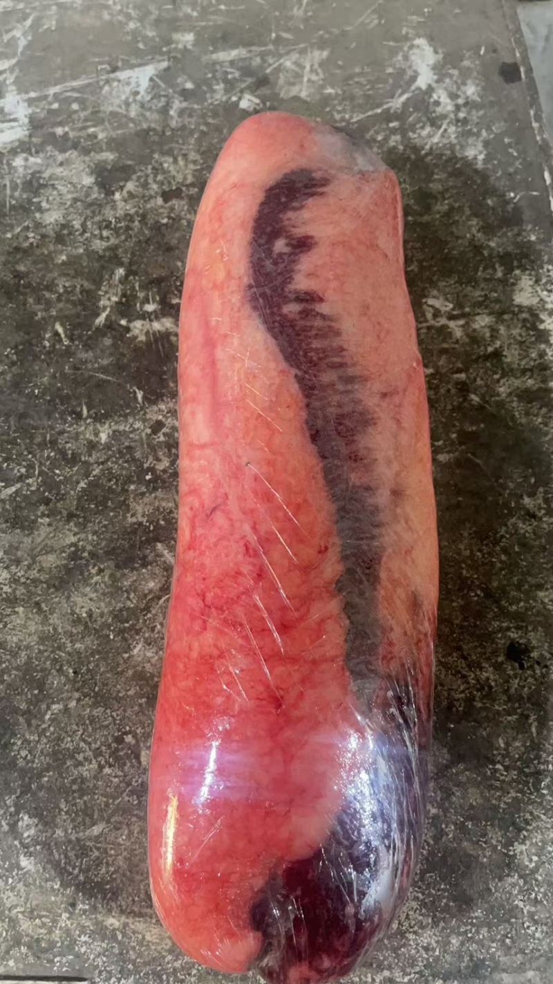 牛胸叉。美肥肥胸口烤肉。专用。囯产原切肉