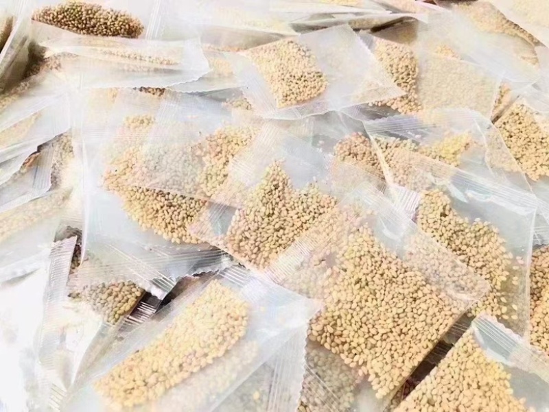 精品冷面，超好吃回头客多