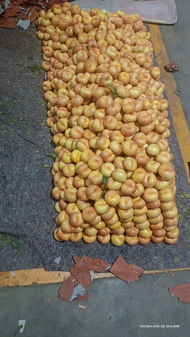 山东油蟠桃大量上市，对接电商，支持一件代发