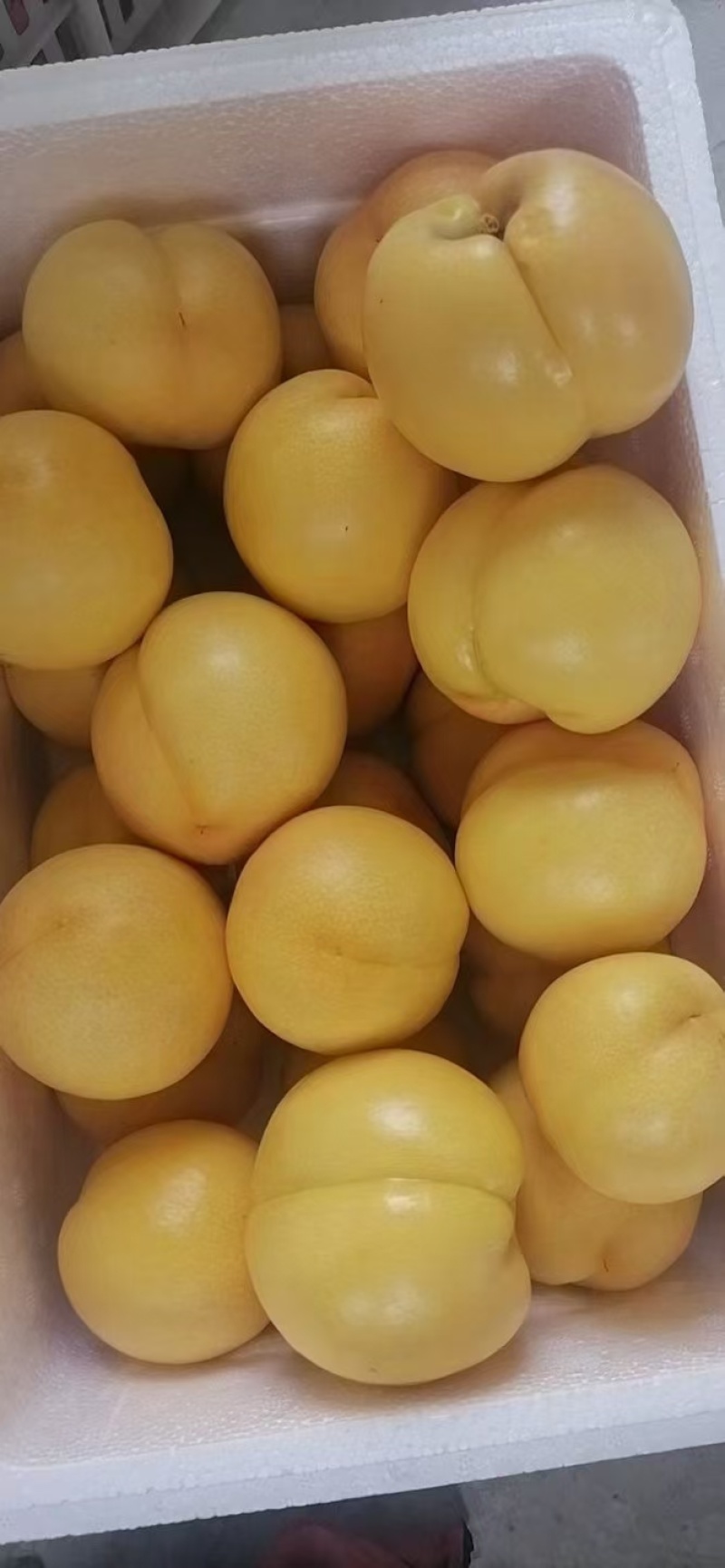 河北精品黄油桃，口感甜表光亮，全国发货商超电商
