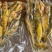 新鲜杀好的黄颡鱼500克一包品质保证