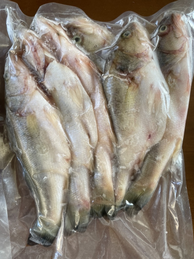 新鲜杀好的小鲈鱼500克一包