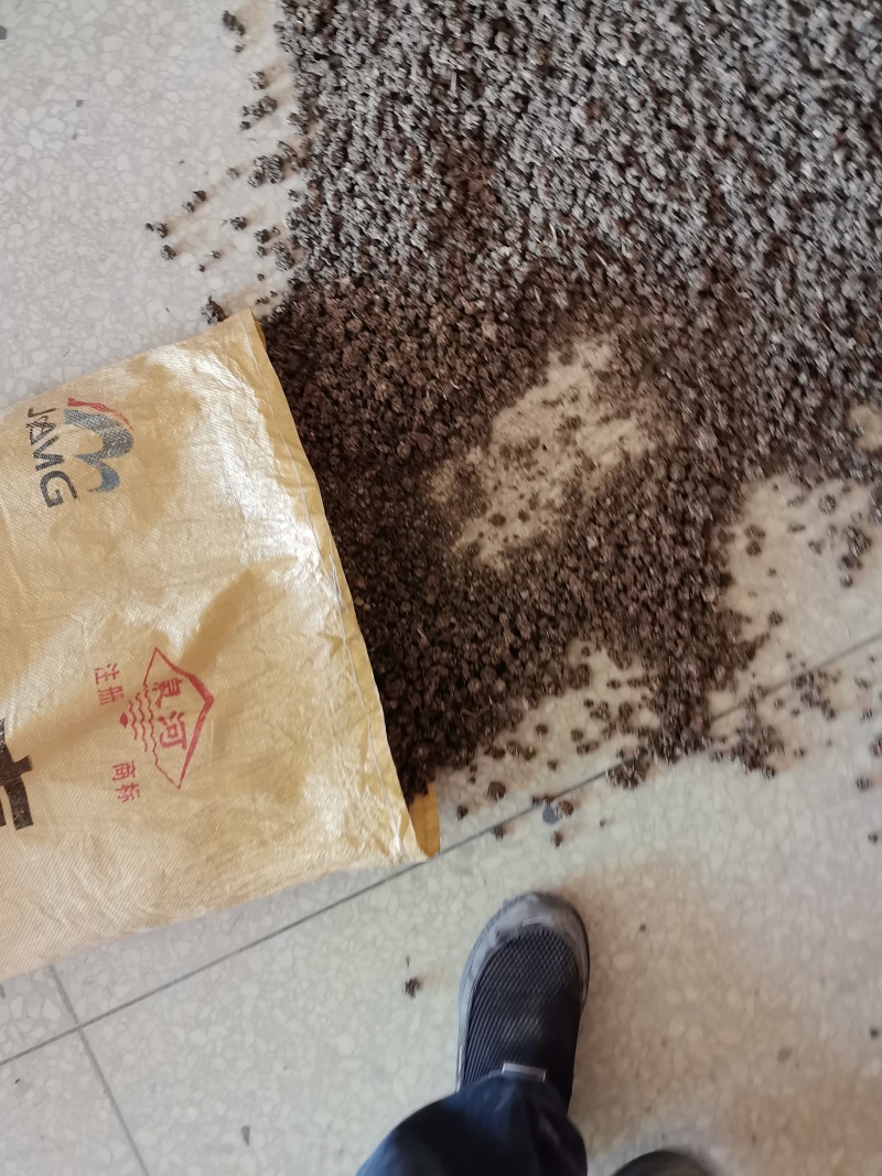 猫爪草水洗两遍大颗粒精品