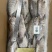 三去罗非鱼新鲜冷冻8斤19条装酒店烧烤餐饮商用水产品