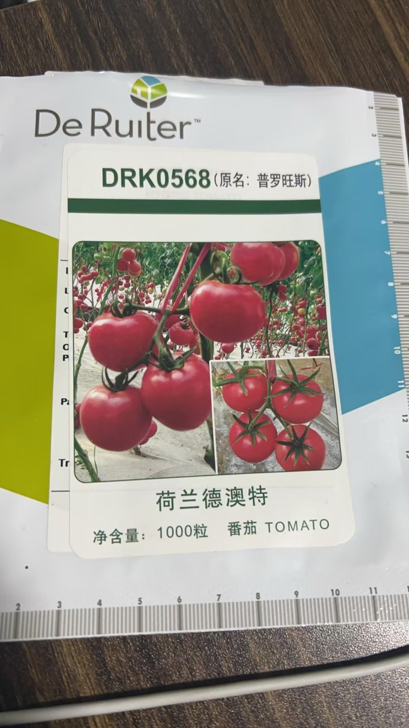 普罗旺斯原包装番茄种子番茄苗西红柿苗沙瓤口感薄皮小时候的