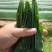 精品菠菜