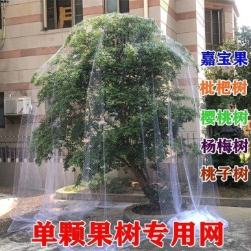 新款果树防鸟罩嘉宝果枇杷樱桃蓝莓果园尼龙防护网菜地