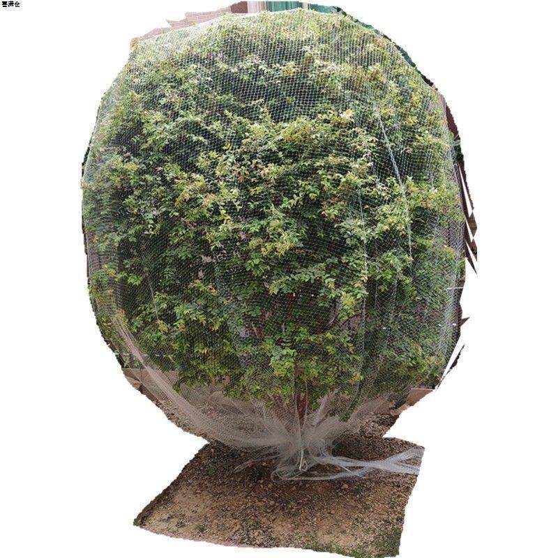 新款果树防鸟罩嘉宝果枇杷樱桃蓝莓果园尼龙防护网菜地
