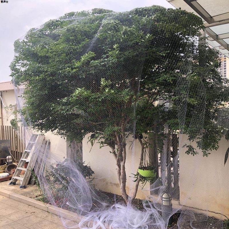 新款果树防鸟罩嘉宝果枇杷樱桃蓝莓果园尼龙防护网菜地