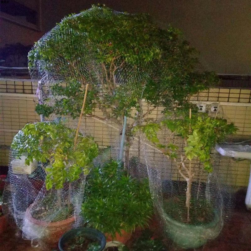 新款果树防鸟罩嘉宝果枇杷樱桃蓝莓果园尼龙防护网菜地