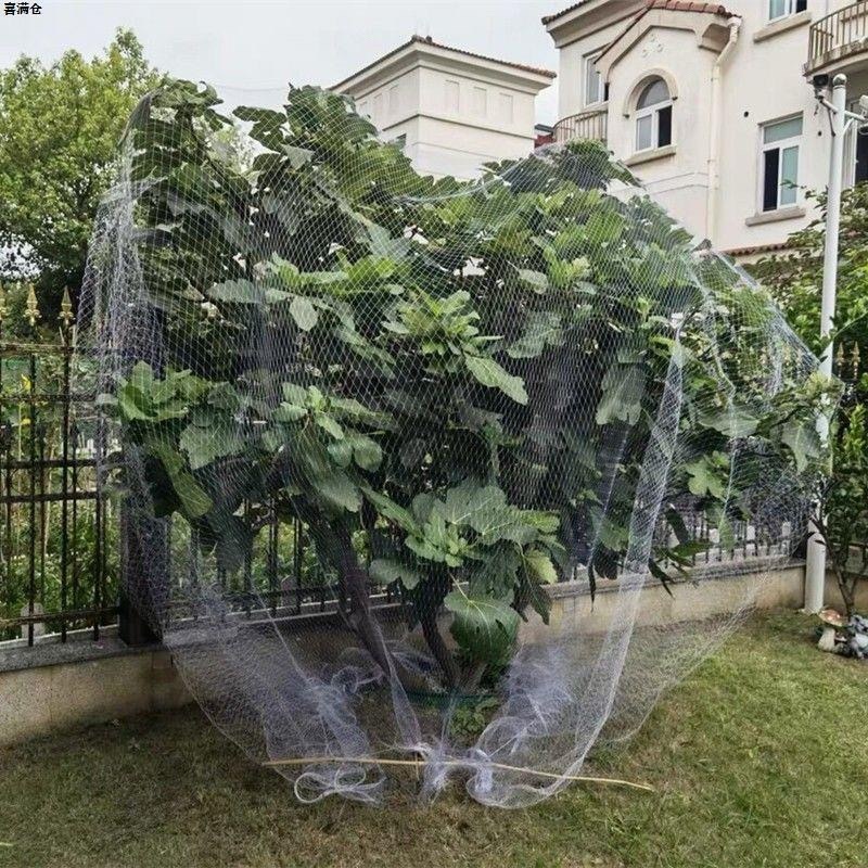 新款果树防鸟罩嘉宝果枇杷樱桃蓝莓果园尼龙防护网菜地
