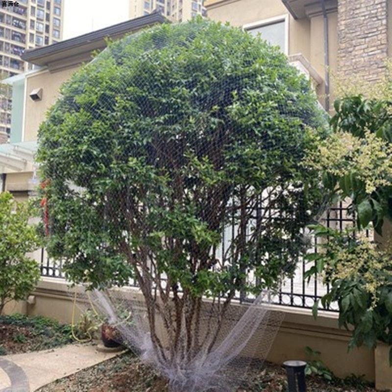 新款果树防鸟罩嘉宝果枇杷樱桃蓝莓果园尼龙防护网菜地