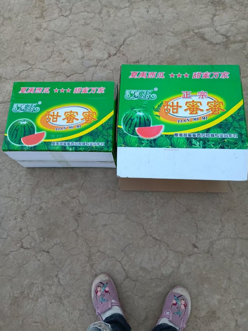 源头西瓜地头，自有种植可按需供货，有籽无籽都有个个精品