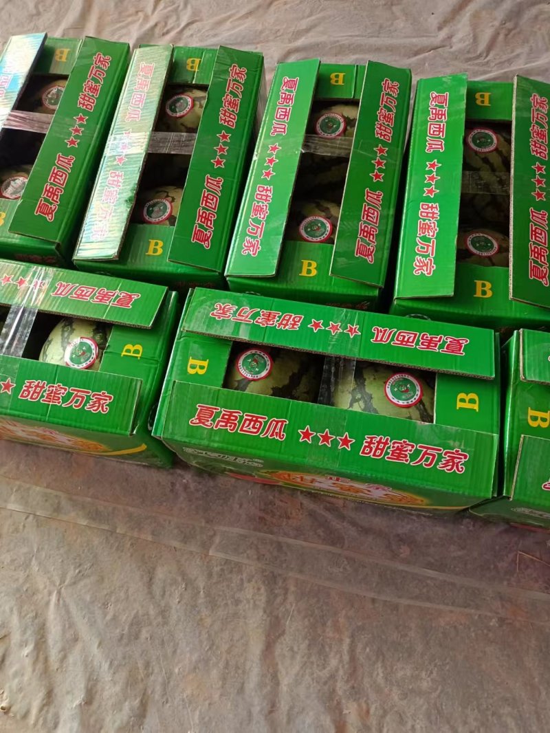 源头西瓜地头，自有种植可按需供货，有籽无籽都有个个精品