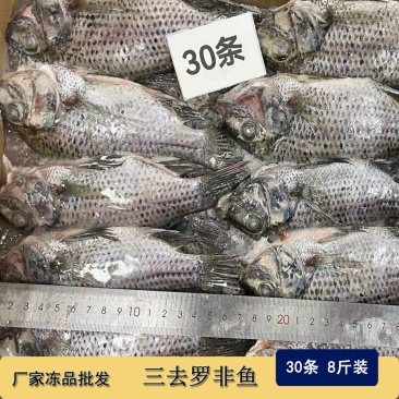 三去罗非鱼新鲜冷冻8斤30条装烤鱼红烧鱼糖醋鱼材料商用