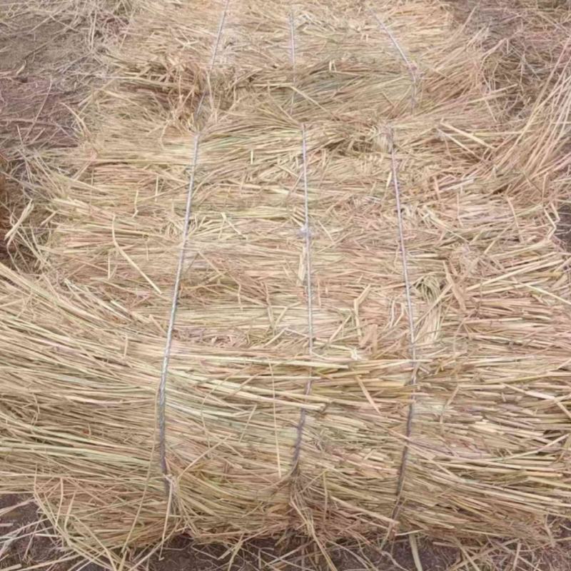 治沙稻草沙漠治理沙漠绿化各种规格草帘打捆稻草