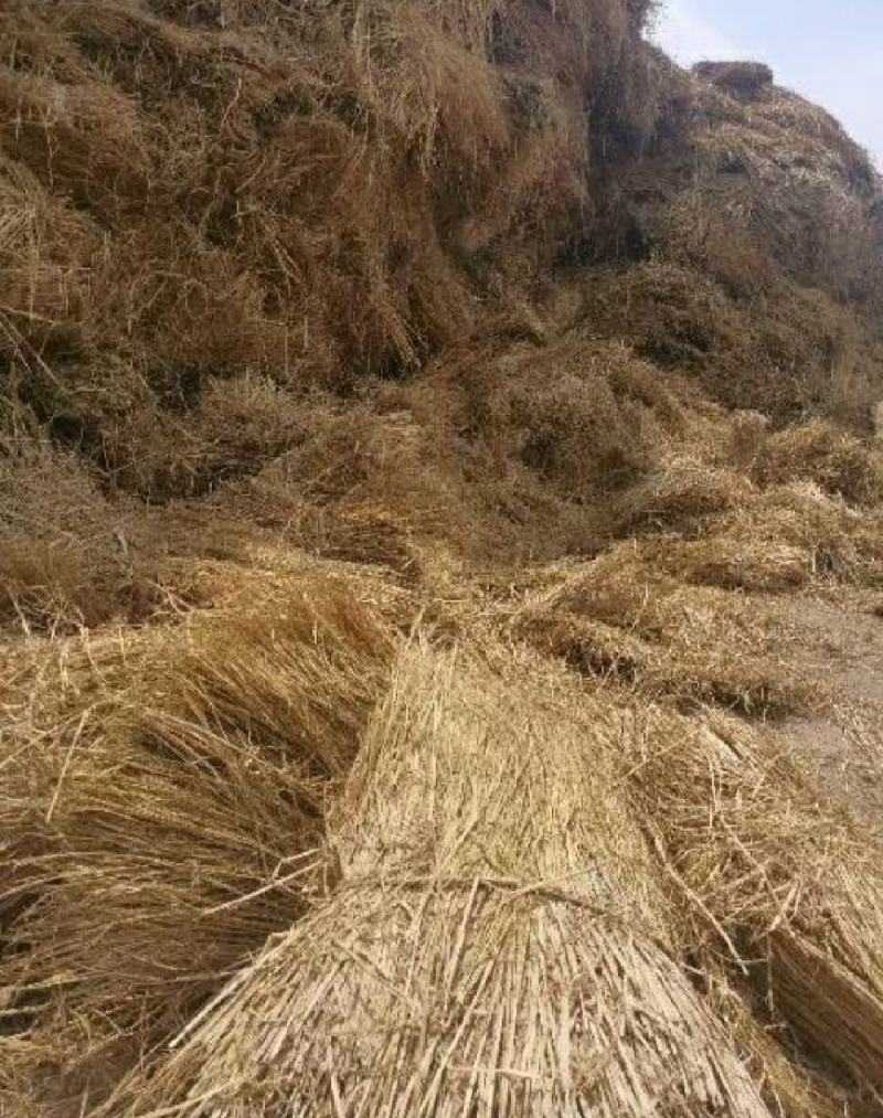 治沙稻草沙漠治理沙漠绿化各种规格草帘打捆稻草