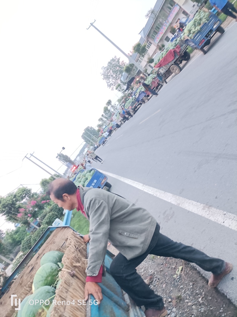 瓦岗丘陵地西瓜