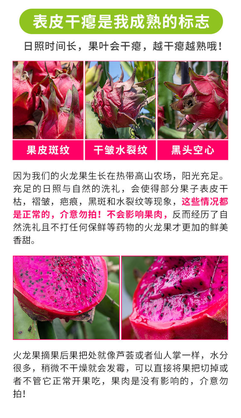 正宗金都一号红心火龙果自然成熟甜蜜爆汁现摘现发施农家肥