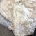 丰源半成品牛肚
