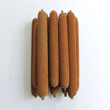 现采蒲棒