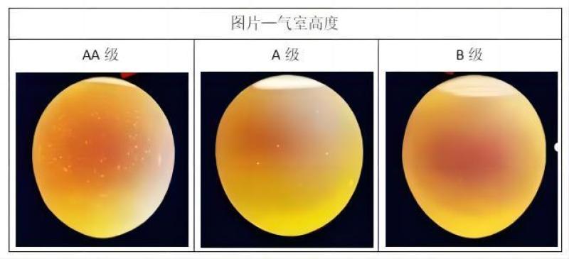 生食鸡蛋