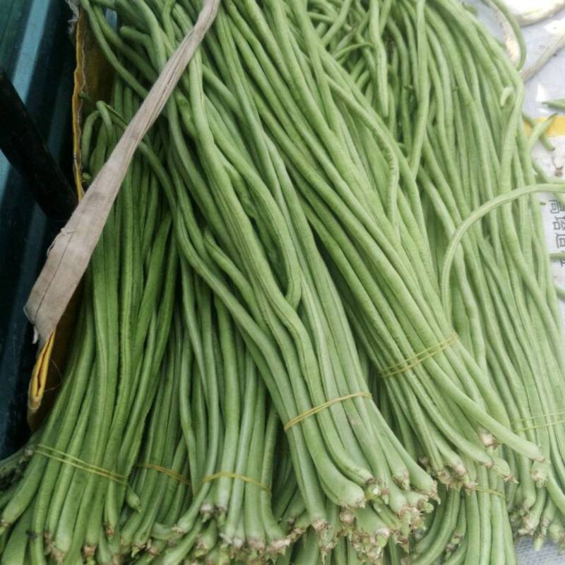 长豆角青条豆角绿豆角带包装口感好长期供货运输便利