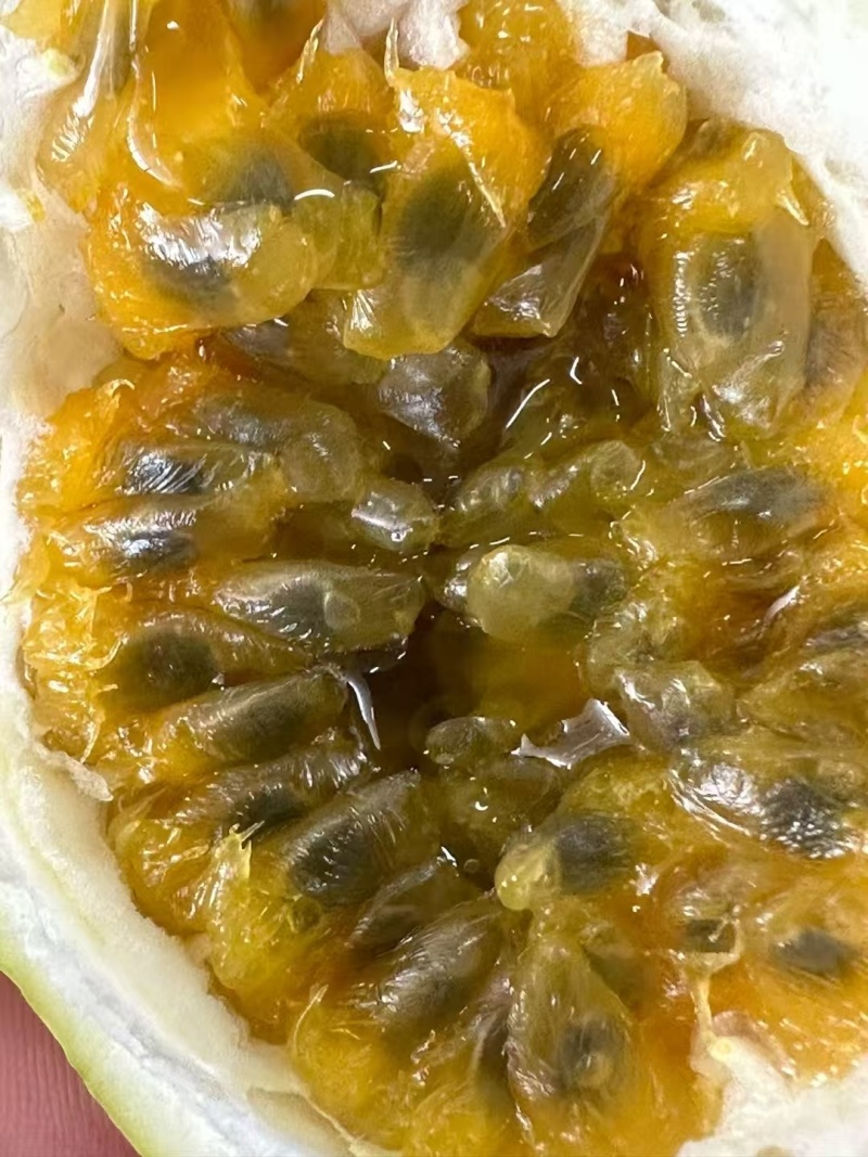 海南钦蜜9号黄金百香果