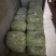 白玉豆角白芸豆对接电商市场商超可视频看货保质保量