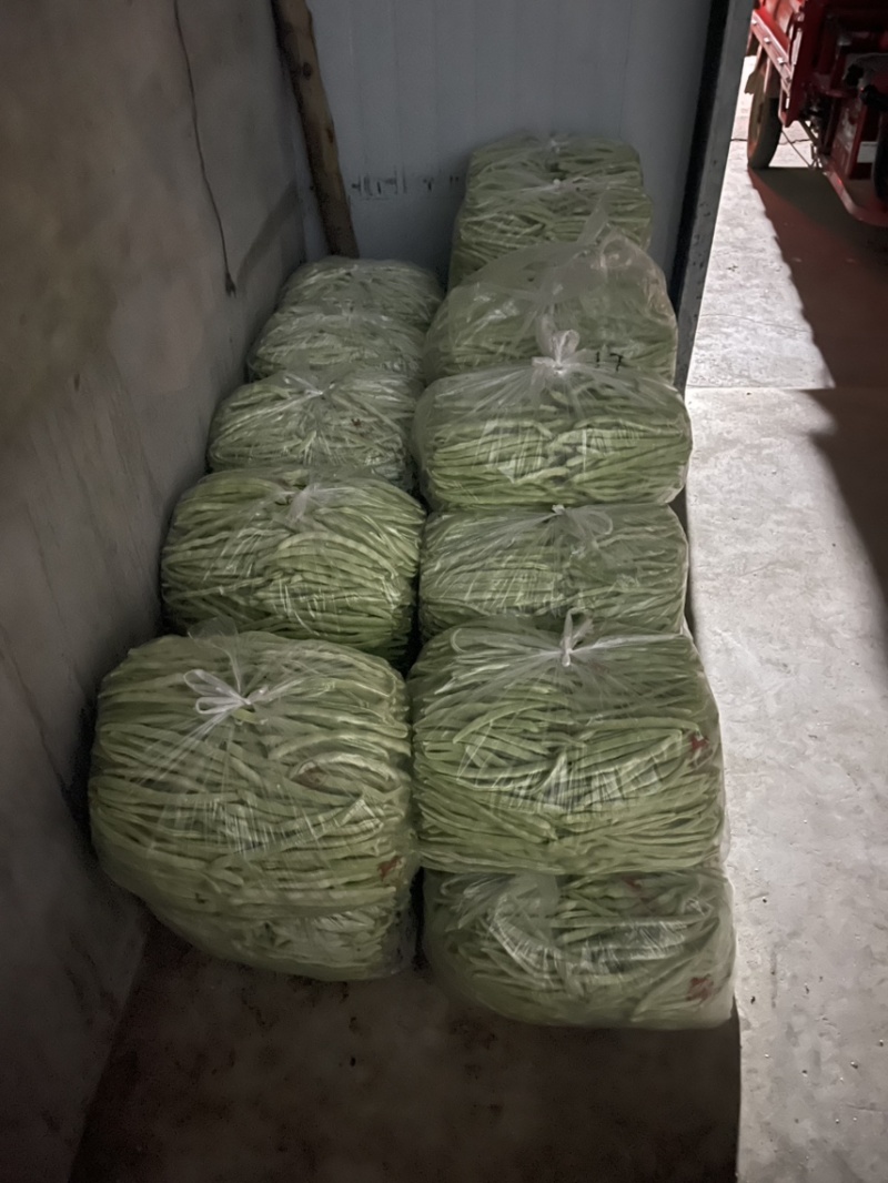 白玉豆角白芸豆对接电商市场商超可视频看货保质保量
