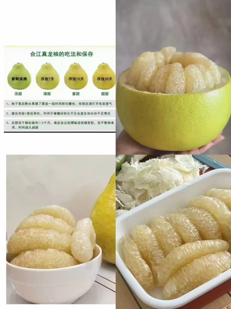 合江真龙柚蜜柚基地直供商超批发市场源头产地价优物美