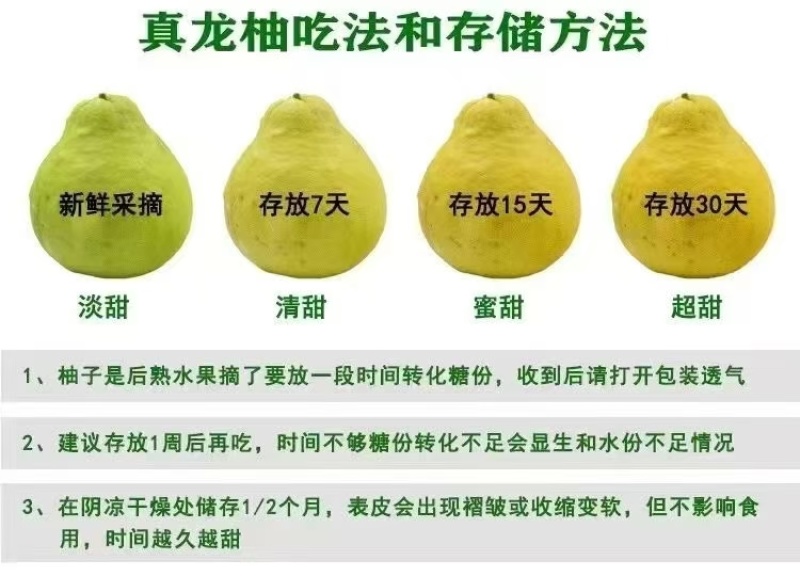合江真龙柚蜜柚基地直供商超批发市场源头产地价优物美