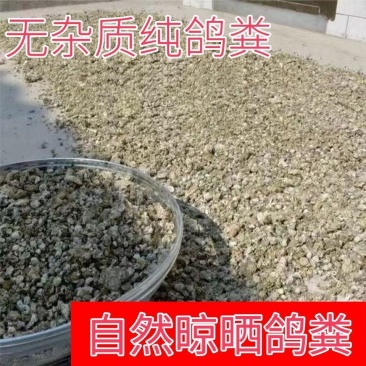 广东鸽子粪清远鸽子粪养殖场供应对接种植户、果园
