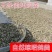 广东鸽子粪清远鸽子粪养殖场供应对接种植户、果园