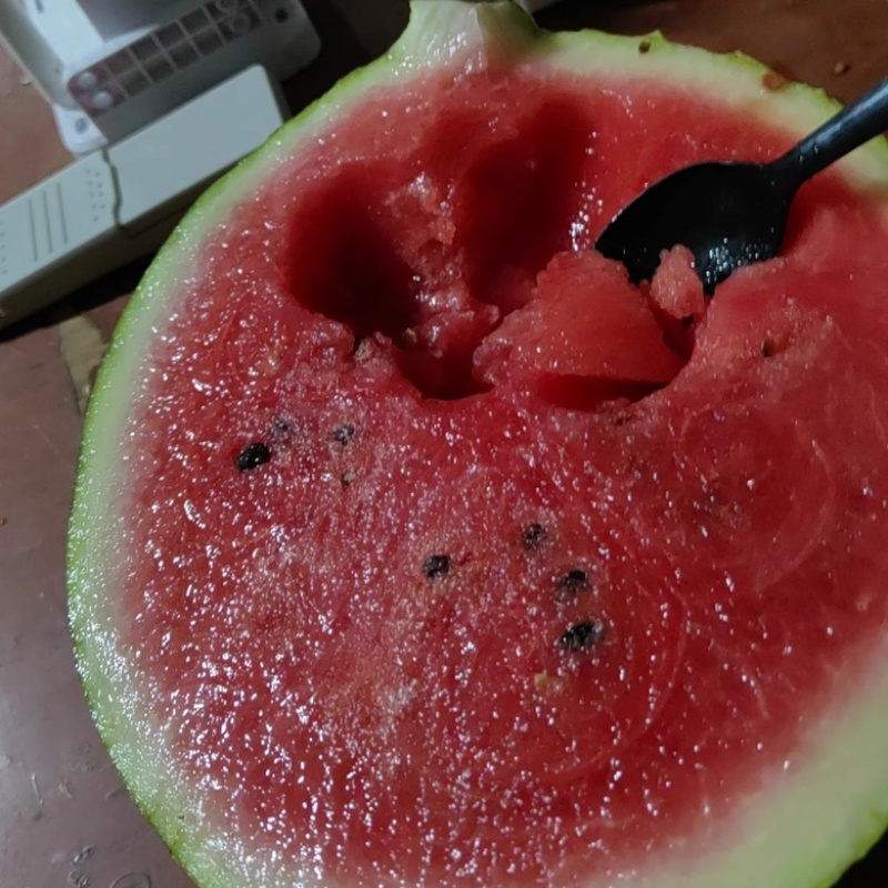 正宗麒麟西瓜超甜薄皮美都有籽8424鲜摘大量发货