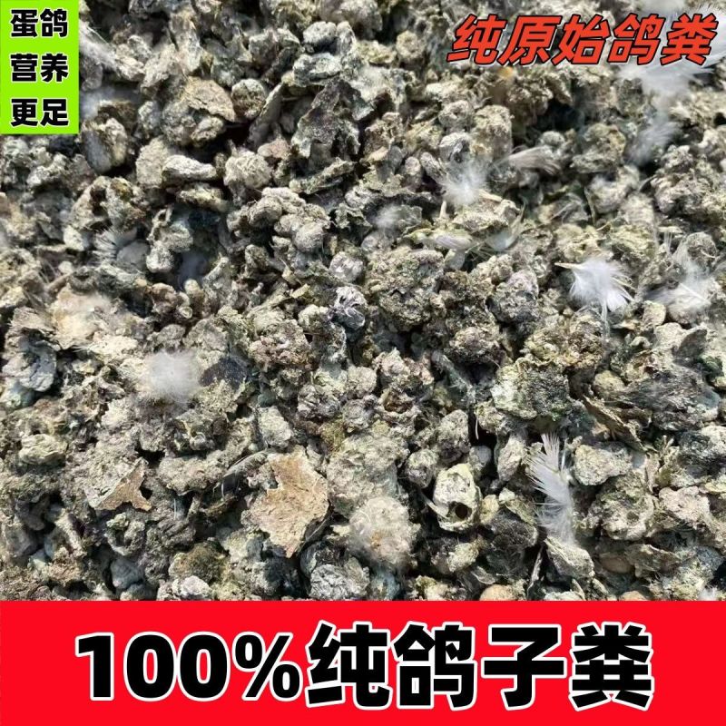 广东鸽子粪清远鸽子粪养殖场供应对接种植户、果园