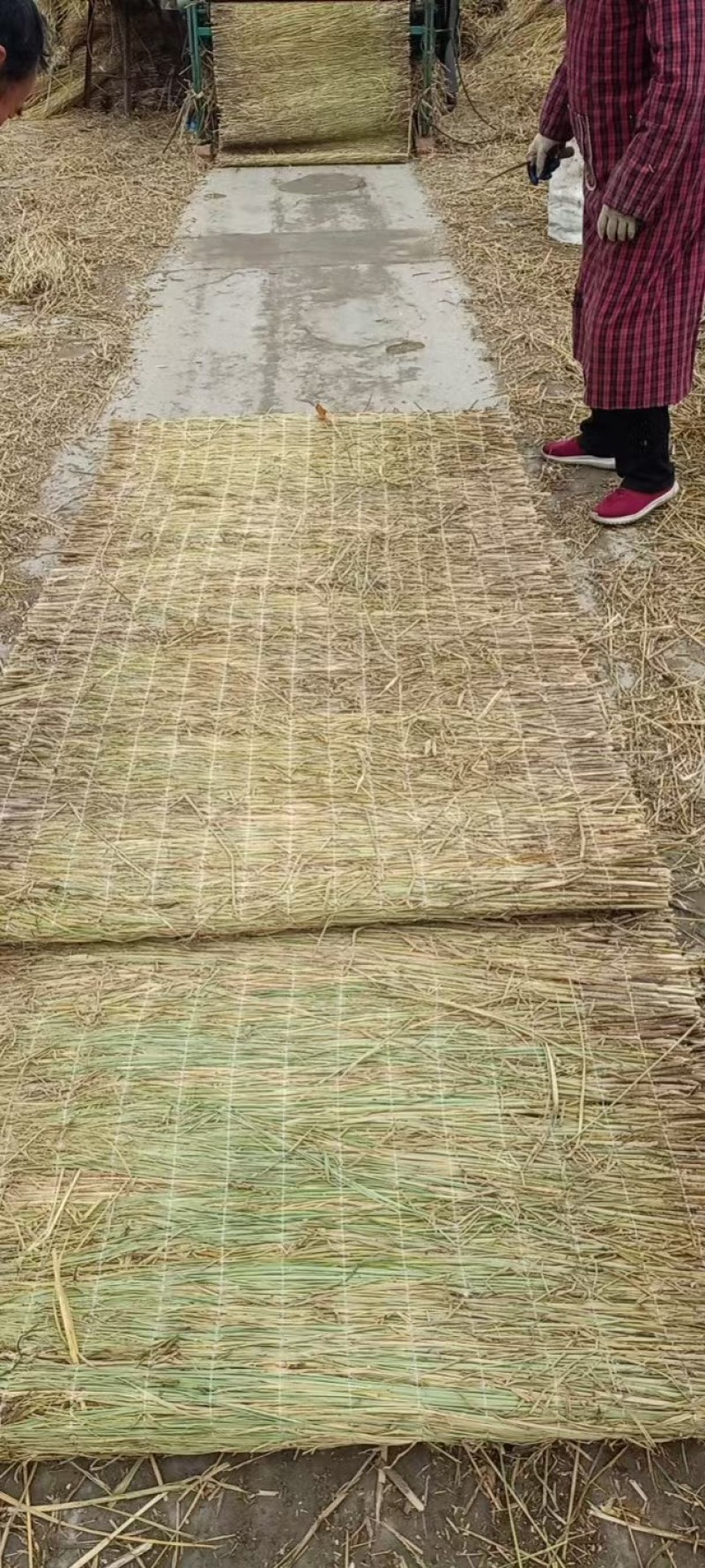 稻草苫