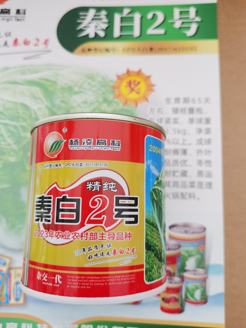 杨凌高科精纯秦白2号（秦白号二号升级品种）更好吃
