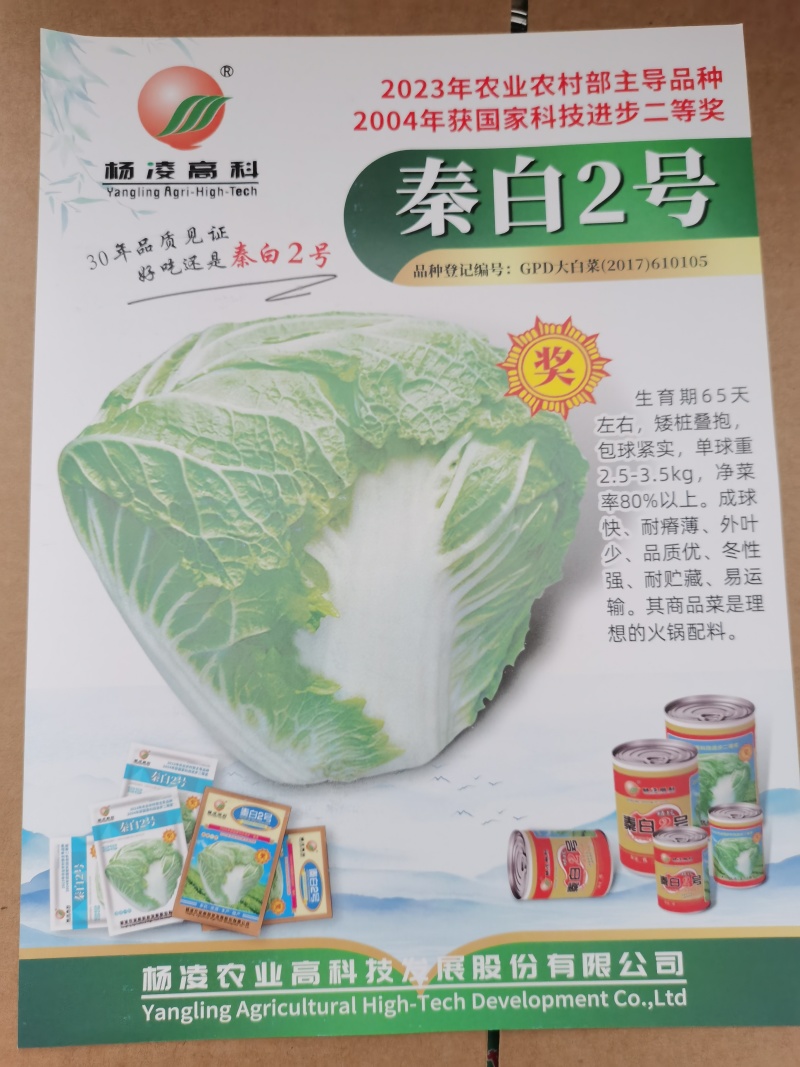 杨凌高科精纯秦白2号（秦白号二号升级品种）更好吃