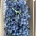 玫瑰香葡萄🍇
