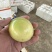 百香果大量上市大量现货