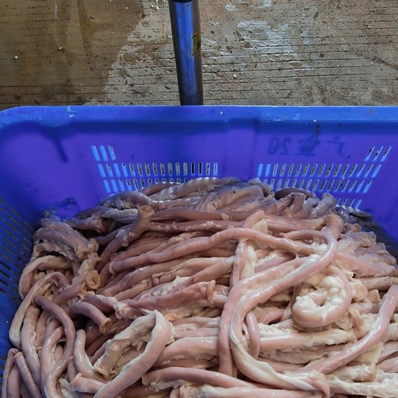 小肠头十二指肠