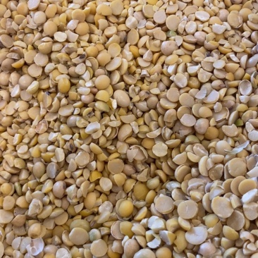 碎黄豆瓣