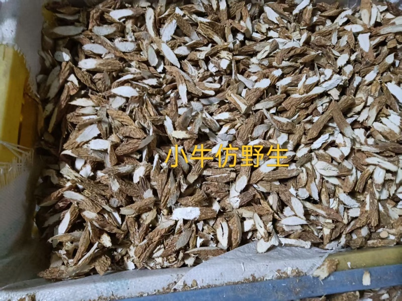 仿野生牛大力小牛干片粉质无硫精品手工挑选