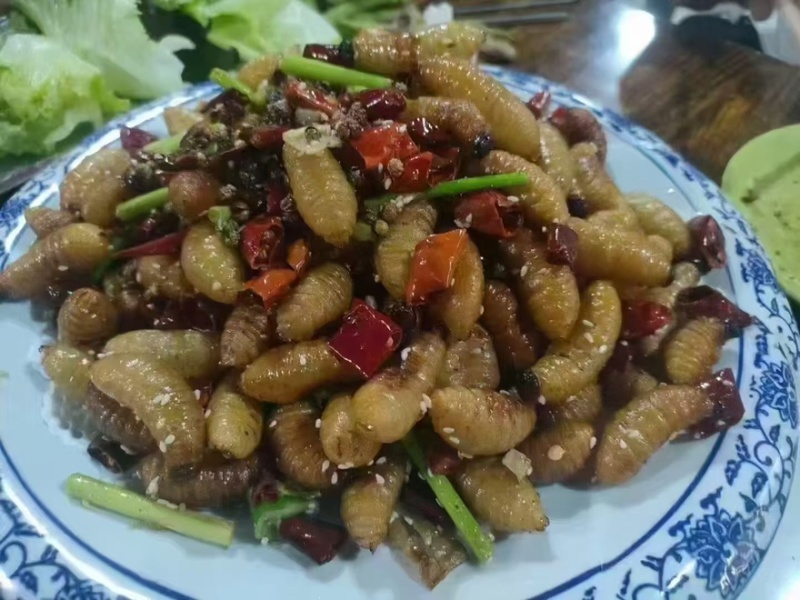 竹虫虫茧味道鲜美产地直发价格实惠全国通发欢迎购买