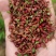 贵州毕节，草血竭种子，现摘现发，纯净度95%以上，